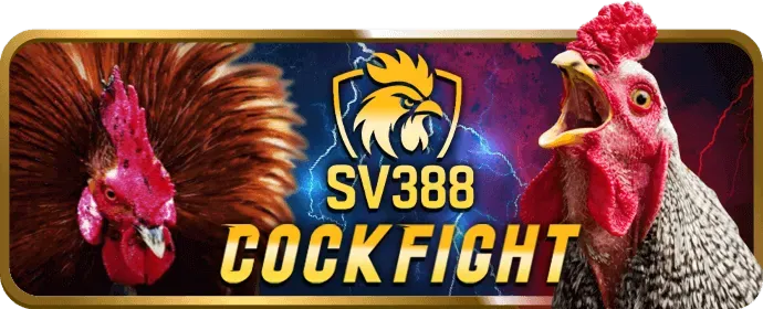 Tham gia chương trình VIP w688 nổ hũ